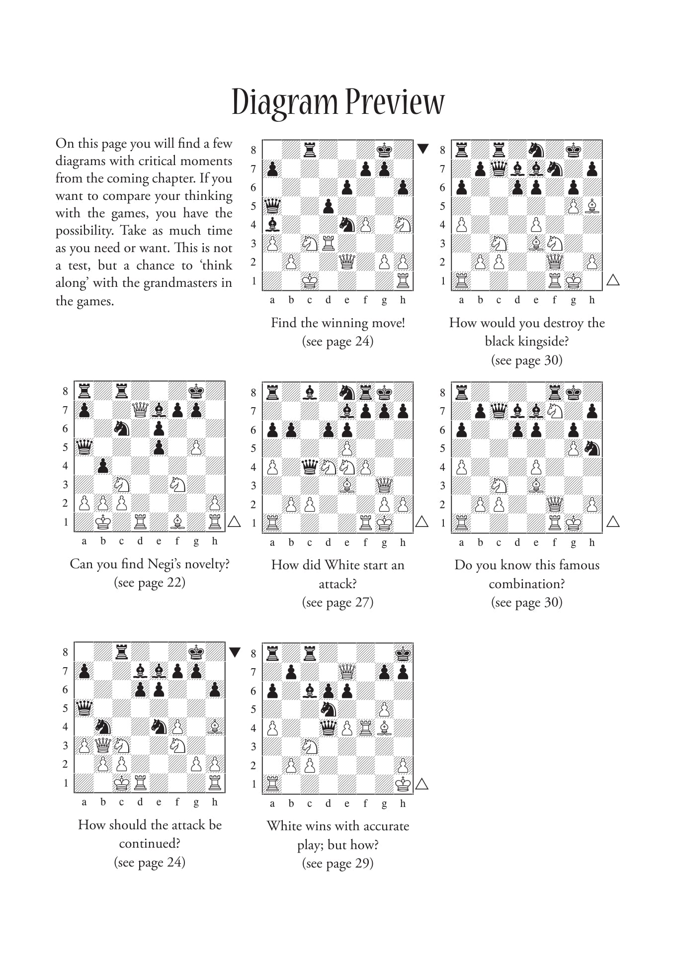 Dynamic Decision Making in Chess by Boris Gelfand (softcover) - 161df4ddfca05d6aca778bc71f0e4b2b