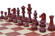 TORNEO N.º 6 BOX