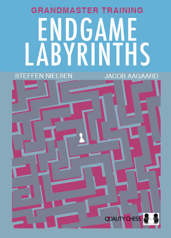 Endgame Labyrinths by Jacob Aagaard and Steffen Nielsen (hardcover) - 3b5fb00b236abab3e9e7ad056805f10c