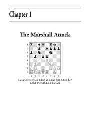 Guía de gambitos de Alterman - Black Gambits 2, de Boris Alterman (tapa blanda)