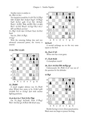 Champions of the New Millennium - Ftacnik, Kopec y Browne (tapa blanda)
