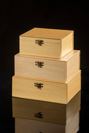 STAUNTON N.º 5 en estuche de madera claro