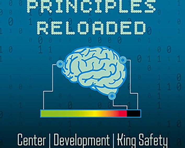 chess-principles-reloaded-by-andras-toth-twarda-okladka-9789083538556.jpg