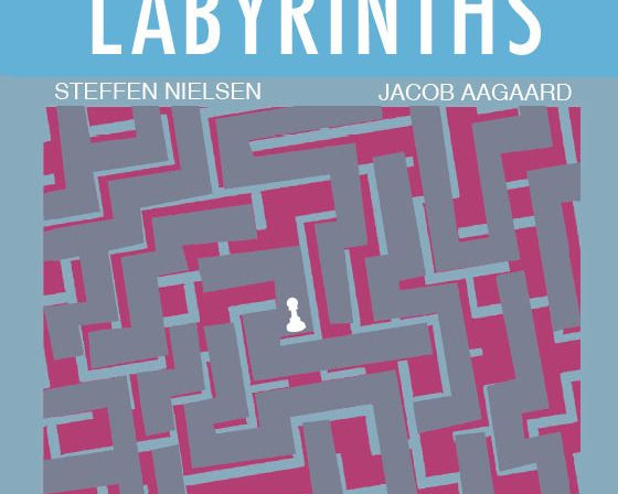 endgame-labyrinths-by-steffen-nielsen-jacob-aagaard-miekka-okladka-9781784831523_62d0cb1c-51b4-4266-970b-86fdb105db61.jpg