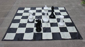 Tablero de nylon para ajedrez de jardín con campo de 20 cm - 7fe07b45a495918fef2ad5b41acb214f