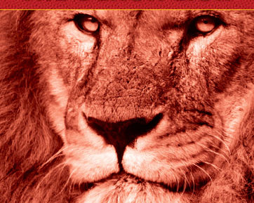 the-black-lion-the-chess-predator-s-choice-against-both-1-e4-and-1-d4-9789056912574.jpg