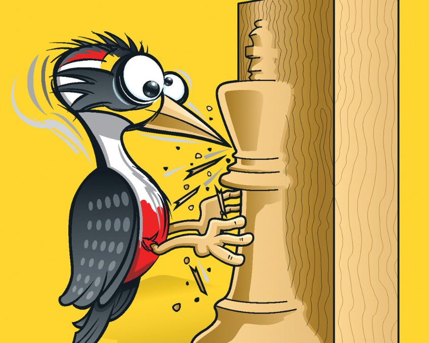 the-woodpecker-method-by-axel-smith-and-hans-tikkanen-twarda-okladka-9781784832773.jpg